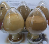 Reishi Mushroom Extract/Ganoderma Lucidum Polysaccharides
