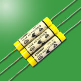 Metallized Polypropylene Film Interference Suppression Capacitor (TMCF1801)