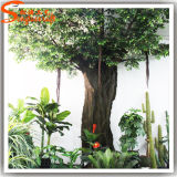 Guangzhou Manufacturer Decorative Artificial Ficus Plant Tree