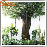 Guangzhou Manufacturer Decorative Artificial Ficus Plant Tree