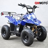 Wuyi Qiaowei Electrical Vehicle Co., Ltd.