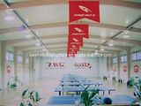Light Steel Structure Gym Building