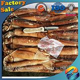 Breaded Squid Ring