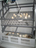 Poultry Egg Incubator