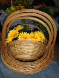 Flower Basket (WFB009)