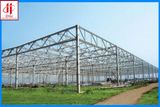 Steel Buildings in Workshops&Plants