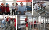 Engoland Customer Visit Our Factory for Prefabricated House