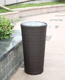 Flower Pot (PPD-40) for Hotel & Outdoor & Home