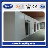 Prefabric Freezing Cold Storage Room