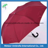 2 Fold Auto Open Promotional Umbrella for Europe Market