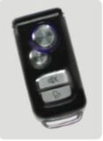 Car Alarm (FD316)