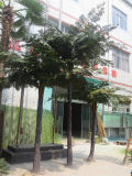 Artificial Palm Tree Decor Ornamental Plant for Garden (China wholesale)