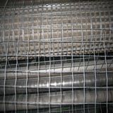 Black Iron Wire Welded Wire Mesh