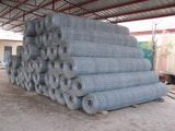 Hot Dipped Galvanized Hexagonal Wire Netting