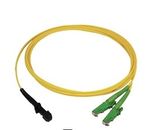 Patch Cord (MTRJ-E2000/APC Singlemode Duplex 3.0mm)