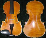 Violin -3