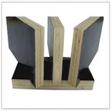 Black Film Faced Concrete Plywood /Finger Joint Plywood