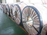 Gi Prepainted Steel Coil