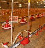 Poultry Watering System for Poultry Farming Equipment (JCJX-106)