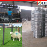 Cheap Galvanized Agricultural Fence Net