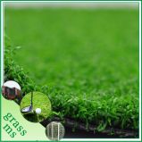 PP Golf Sport Fake Grass (SGQD-C12R30PM)