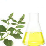 Good Quality Natural Patchouli Oil