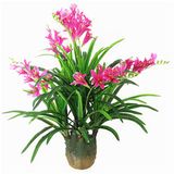 Yongyue 0758 Hot Sale Green Artificial Freesia Bonsai Tree for Wholesale