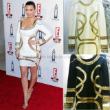 Celebrity Dress AC-1048