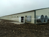 Full Set High Quality Prefab Steel Structure Poultry Houses for Chicken