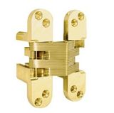 Hafele Golden Zinc Alloy Conceal Hinge