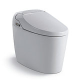 Sanitary Ware Ceramic Intelligent Toilet (YB0008)