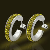 Jewellery Earring 925 Sterling Silver Jewelry High Quality Crystal Earrings (ESA3074-C)