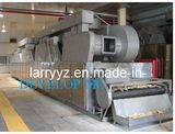 Dw Vegetable Chilli Web Belt Drier & Drying Machine