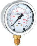 Liquid Pressure Gauge, 2.5', Bottom/Back Type