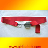 Airline Airplane Aircraft Airline Promotion Product/Item/Accessory (EDB-13012937)