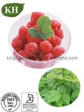 Raspberry Ketone Glucoside CAS: 38963-94-9