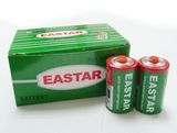 R20 Battery