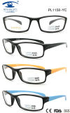 2015 Nice Square Plastic Colourful Eyewear Frame (PL1158)