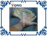 Disposable Glove Latex Glove Latex Powder Free Exam Gloves