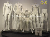 Windows Mannequins, Male Manenquins for Display