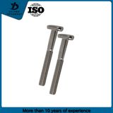 Steel T Head Bolt /T Bolt