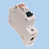 Mini Circuit Breaker - DZ47-63(C45N)