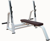 Fitness Equipment / Gym Equipment /Olympic Flat Bench (SA37)