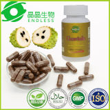 OEM Available GMP Certificate Graviola Fruit Extract Capsule for Anti-Cancer