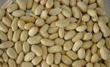 High Quality for Blanched Peanut