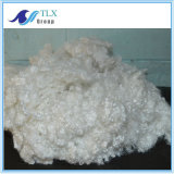 7D Hollow Conjugated Siliconized Polyester Staple Fiber for Filling
