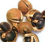 Tea Seed Extract