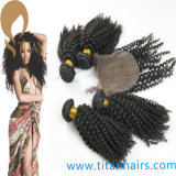 Brazilian Virgin Hair Bundles Afro Kinky Curly Human Hair