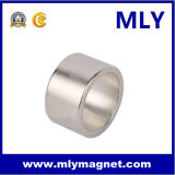 Rare Earth Neodymium Round Magnet (M045)