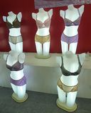 Lingerie Lighting Mannequin (DSMU001)